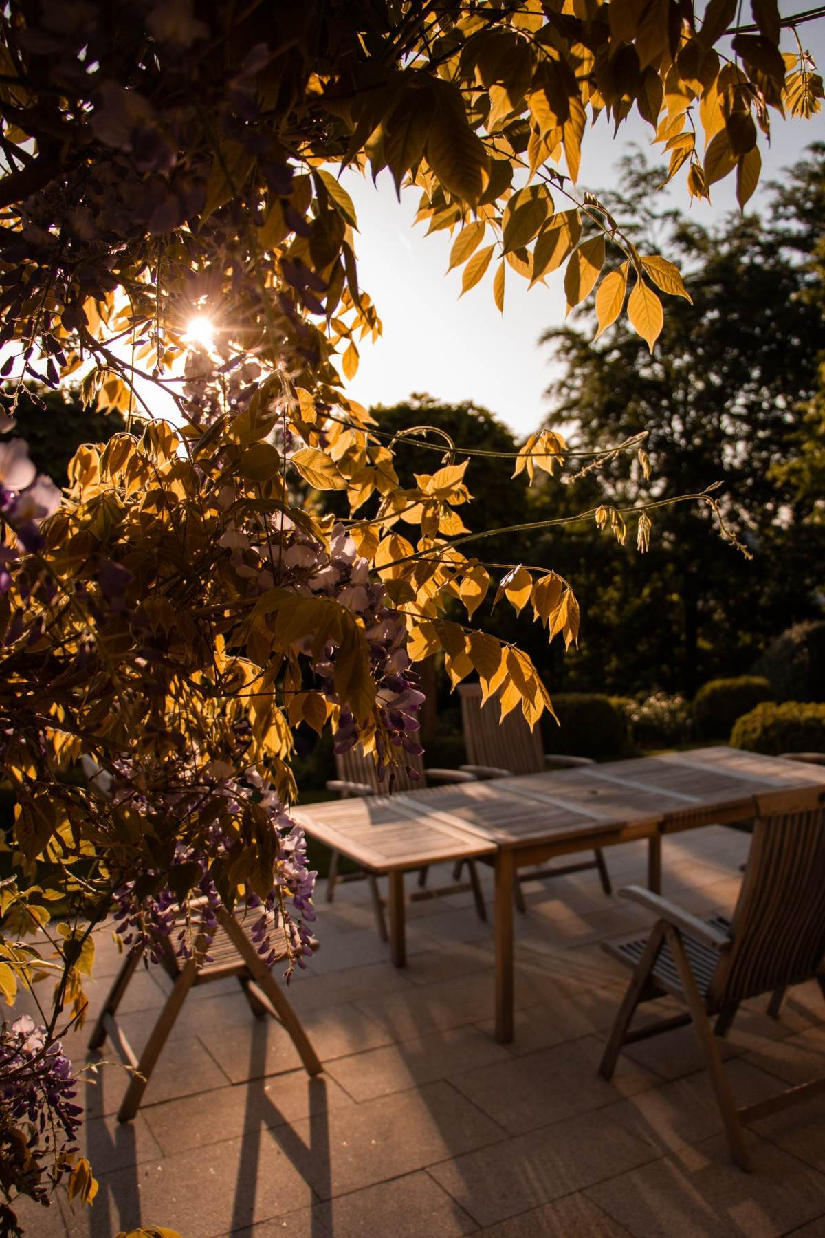 Træmøbler på en terrasse i gyldent modlys mellem blade