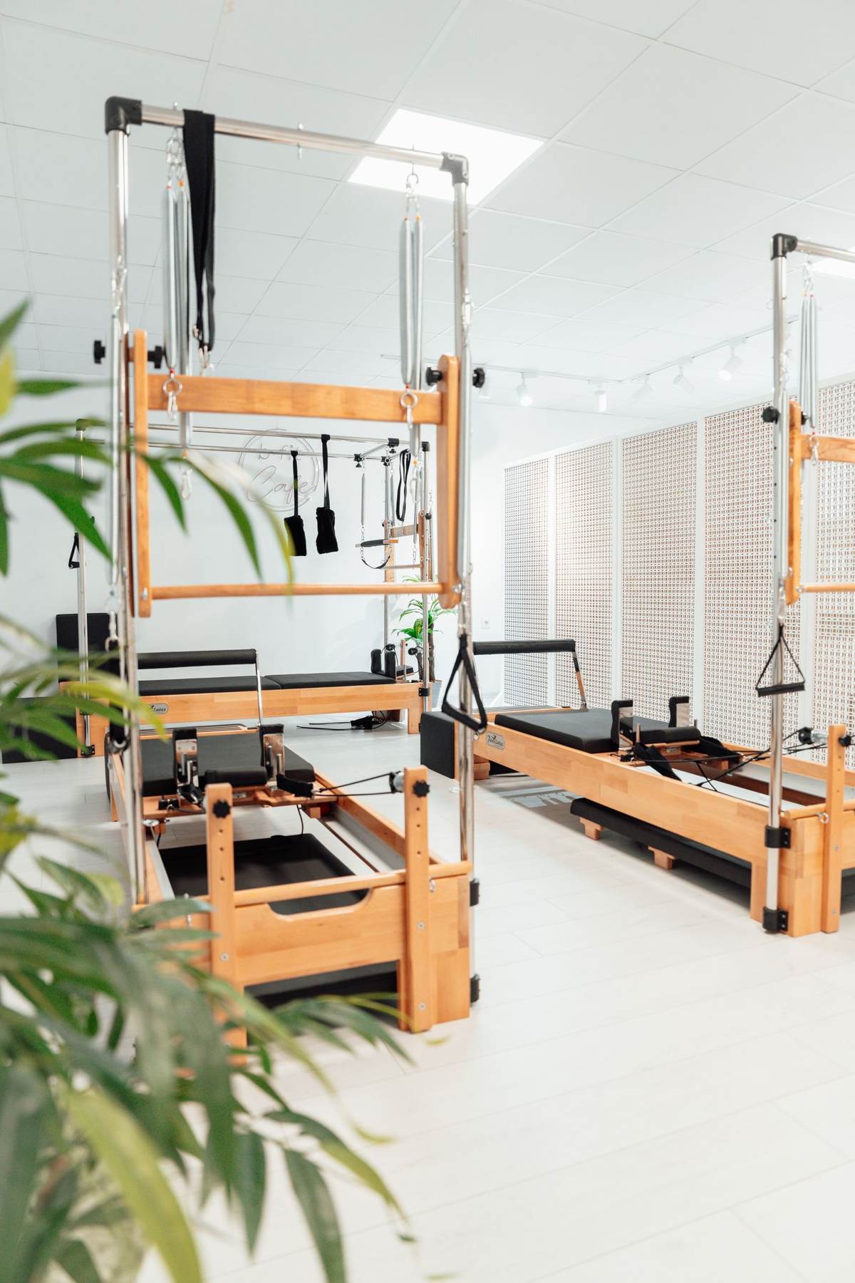 Pilatesstudie med træapparater og en grøn plante