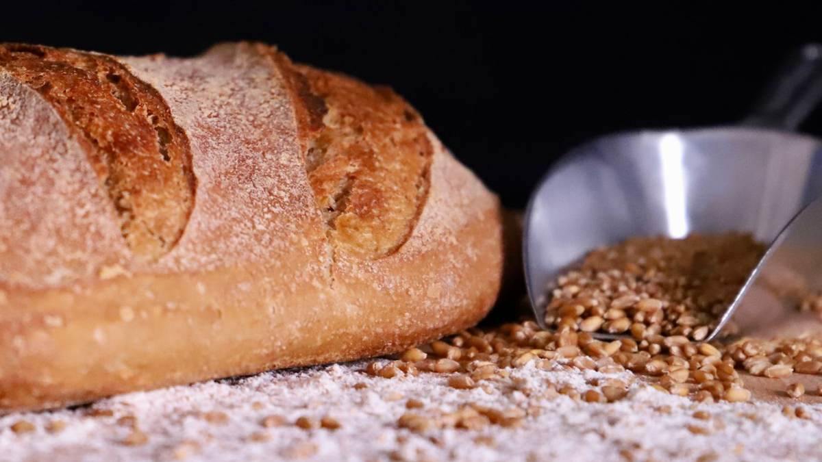 Baguette på et meldrysset bord ved siden af en skovl med korn