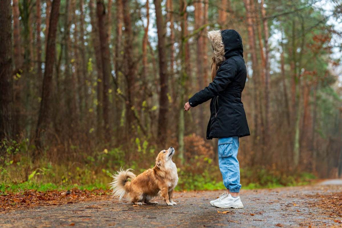 En kvinde i hættejakke træner en lille hund på en skovsti om efteråret