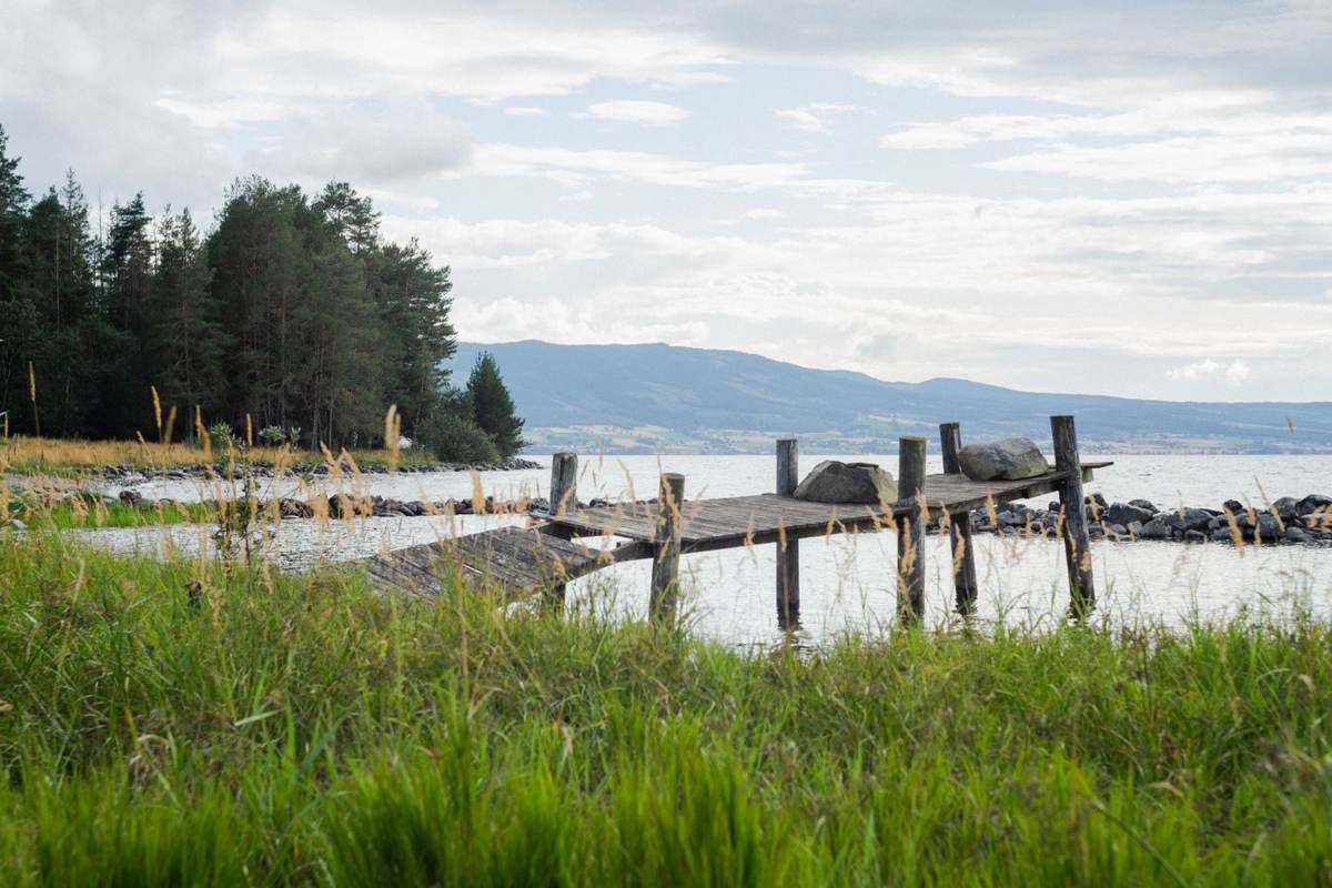 Træbro ved vandkanten med græs og skov i baggrunden