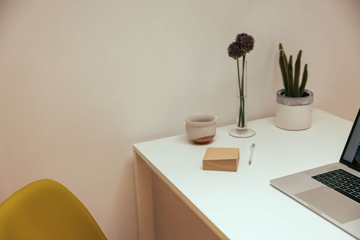 En potteplante og en vase ved siden af en bærbar computer