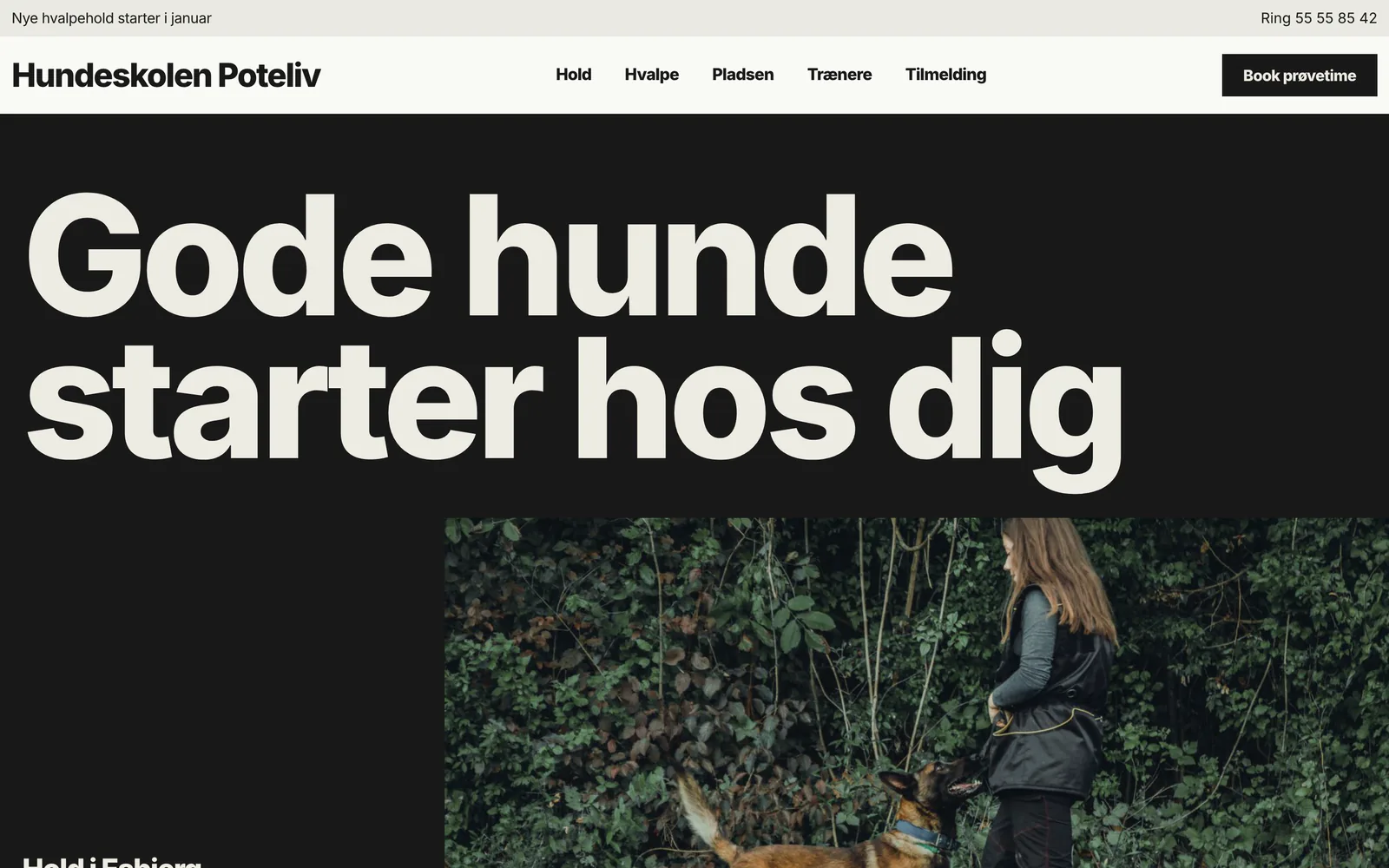 Forsiden af eksempelsiden Hundeskolen Poteliv, en opdigtet side for hundeskole